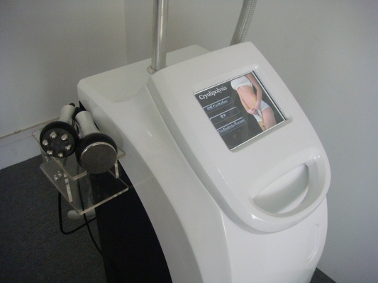 Fat Frozen Cryolipolysis Machine 