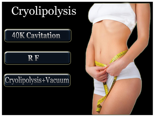 Coolsculpting Freezing Fat Cryolipolysis Machine Leg , Arms Fat Removing