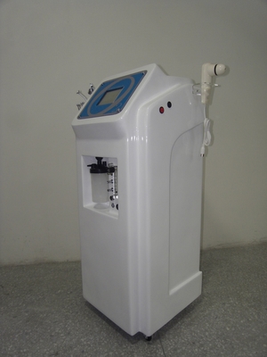 スキン ケアのための専門の酸素の顔機械