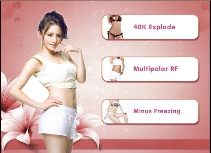 1 人の Cryolipolysis の脂肪質の凍結の重量の無くなった美機械製造者に付き中国 3 人