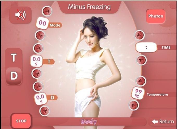 凍っている中国専門の Cryolipolysis 美装置の製造者を細くします